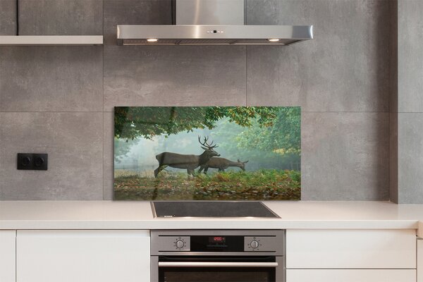 Panouri de sticlă pădure toamna Deer