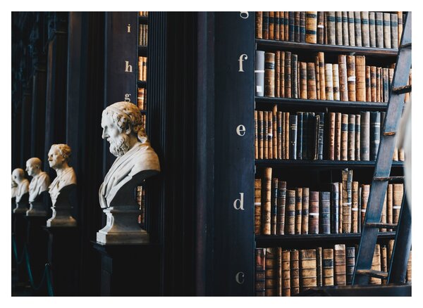 Tablou - La bibliotecă (70x50 cm)