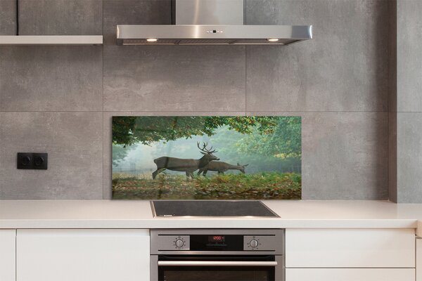 Panouri de sticlă pădure toamna Deer