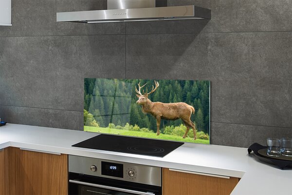 Panouri de sticlă Deer în domeniu