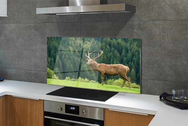 Panouri de sticlă Deer în domeniu