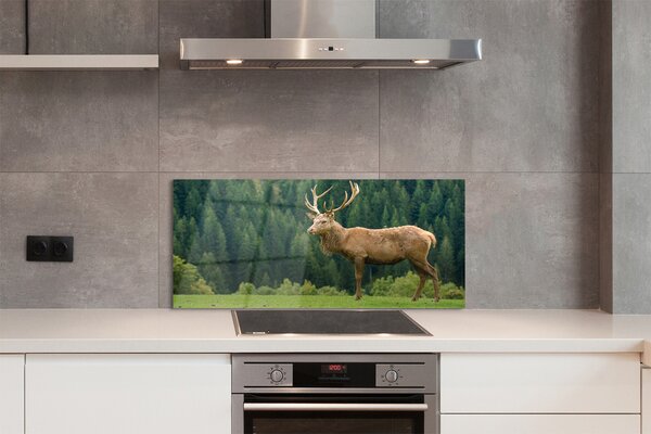 Panouri de sticlă Deer în domeniu