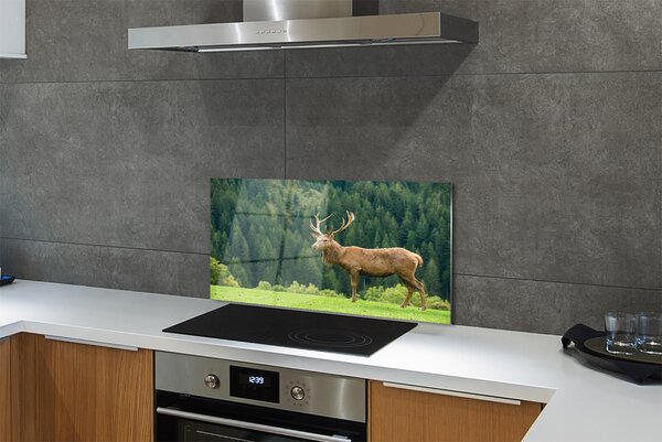 Panouri de sticlă Deer în domeniu
