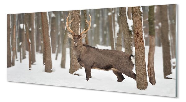 Panouri de sticlă pădure de iarnă Deer