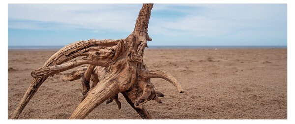 Tablou - Inundație de mare (120x50 cm)