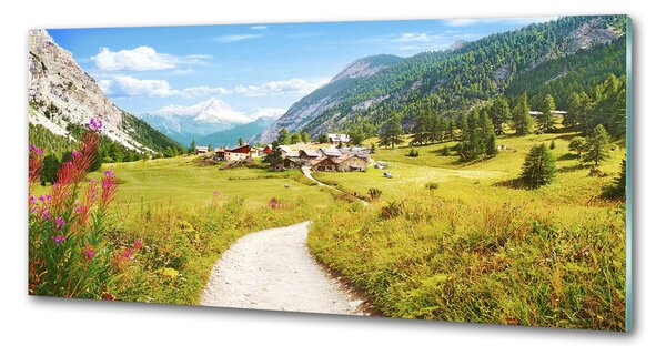 Panou sticla securizata bucatarie Pășuni în Alpi