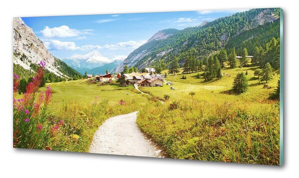 Panou sticla securizata bucatarie Pășuni în Alpi