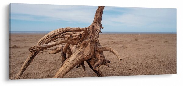 Tablou - Inundație de mare (120x50 cm)