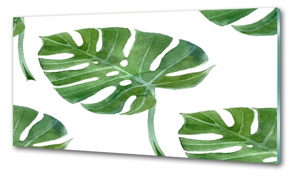 Sticlă printata bucătărie Monstera