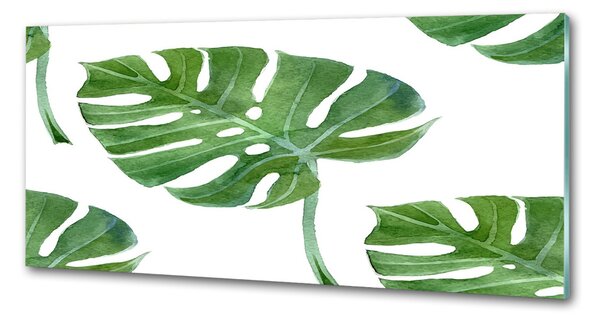 Sticlă printata bucătărie Monstera