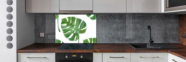 Sticlă printata bucătărie Monstera