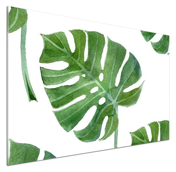 Sticlă printata bucătărie Monstera