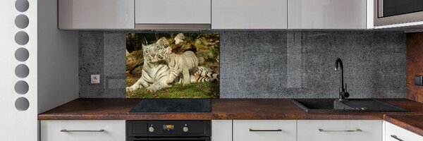 Sticlă bucătărie Tigers