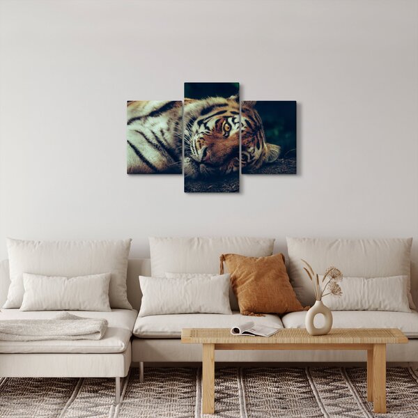 Tablou - Tigrul Siberian (90x60 cm)