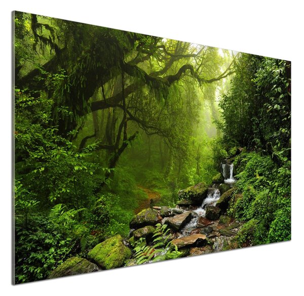 Panou sticla securizata bucatarie Jungle în Nepal