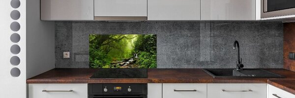 Panou sticla securizata bucatarie Jungle în Nepal