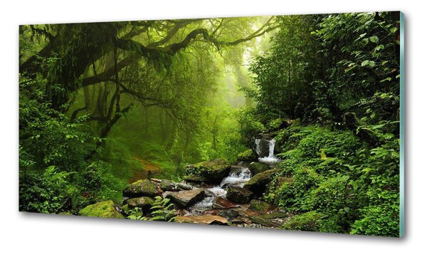 Panou sticla securizata bucatarie Jungle în Nepal