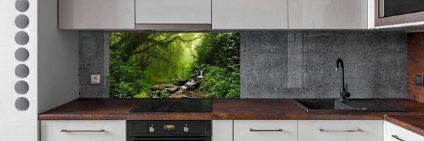 Panou sticla securizata bucatarie Jungle în Nepal
