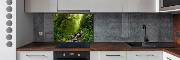 Panou sticla securizata bucatarie Jungle în Nepal