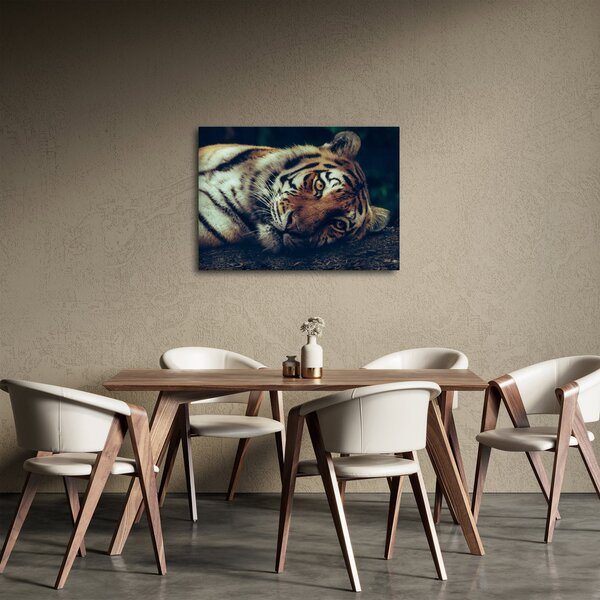 Tablou - Tigrul Siberian (70x50 cm)