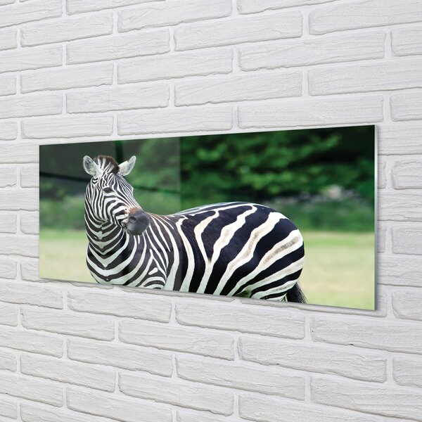 Panouri de sticlă caseta Zebra