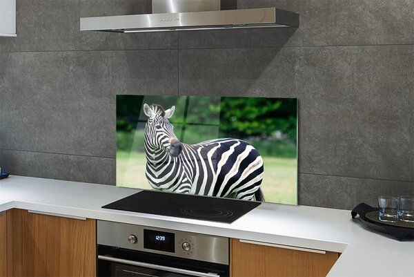 Panouri de sticlă caseta Zebra