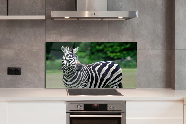 Panouri de sticlă caseta Zebra