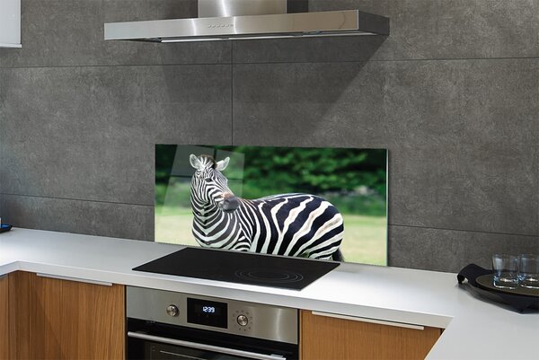 Panouri de sticlă caseta Zebra