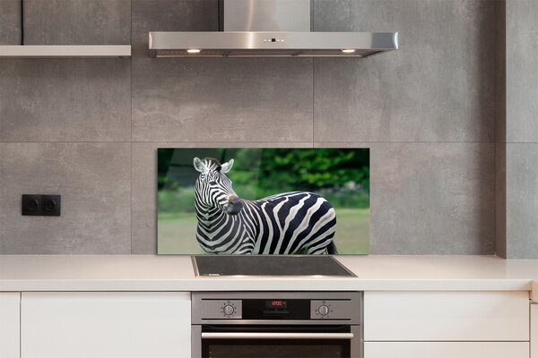 Panouri de sticlă caseta Zebra
