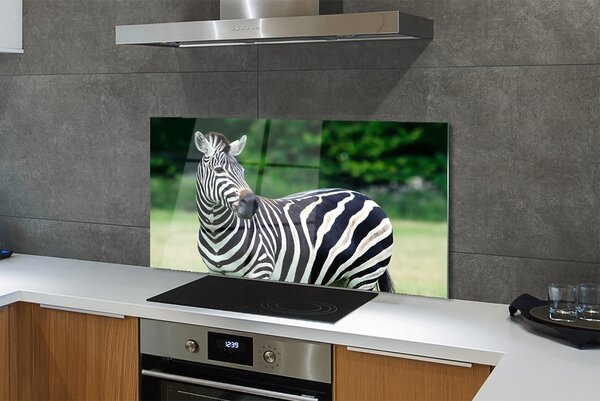 Panouri de sticlă caseta Zebra