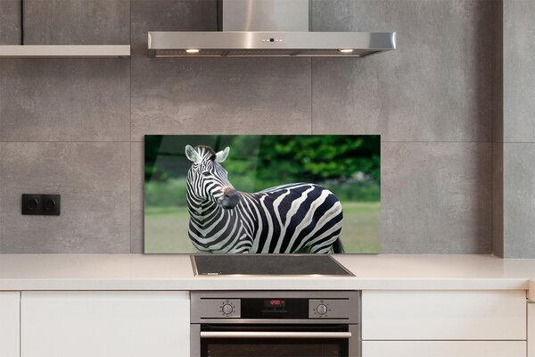 Panouri de sticlă caseta Zebra