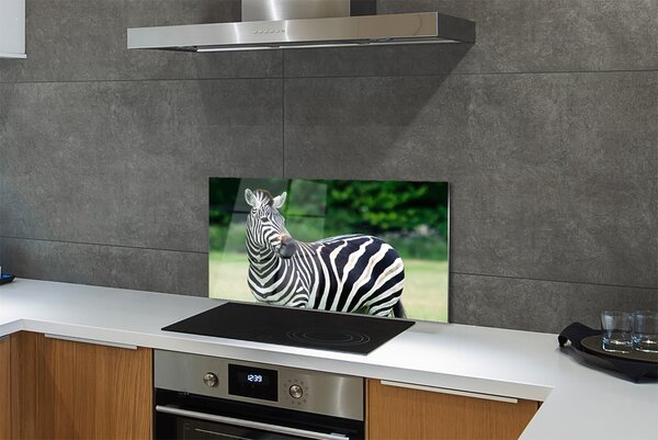 Panouri de sticlă caseta Zebra