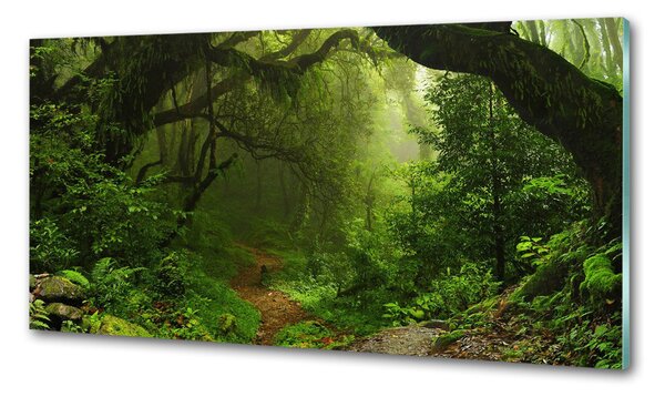Panou perete bucătărie Jungle în Nepal