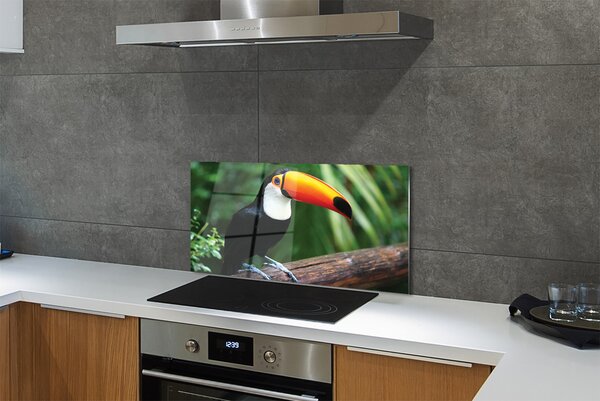 Panouri de sticlă Toucan pe o ramură