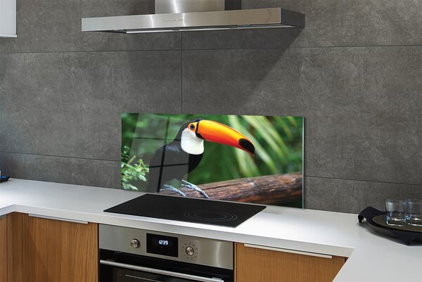 Panouri de sticlă Toucan pe o ramură