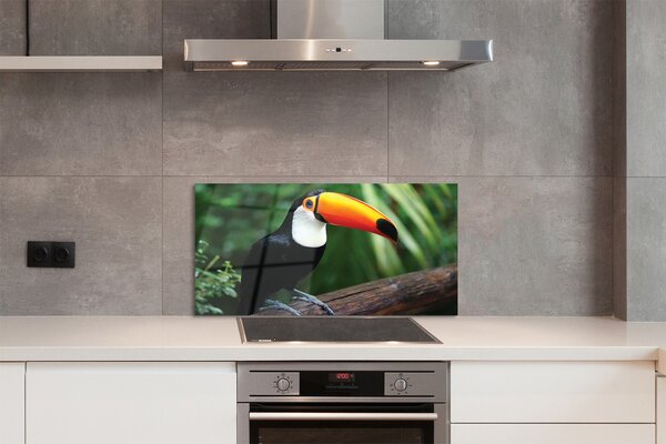 Panouri de sticlă Toucan pe o ramură