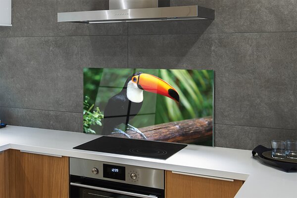 Panouri de sticlă Toucan pe o ramură