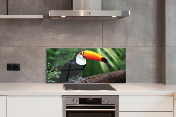 Panouri de sticlă Toucan pe o ramură