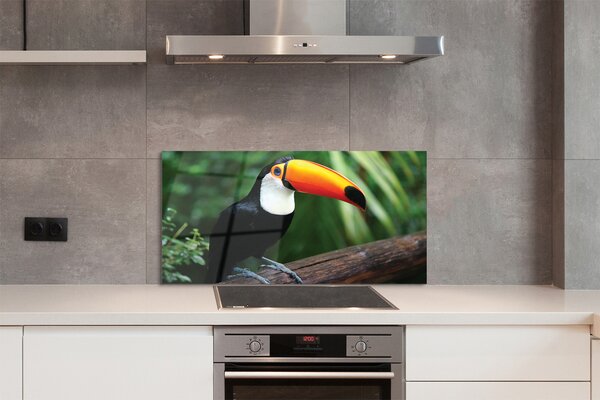 Panouri de sticlă Toucan pe o ramură