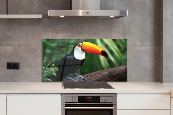 Panouri de sticlă Toucan pe o ramură