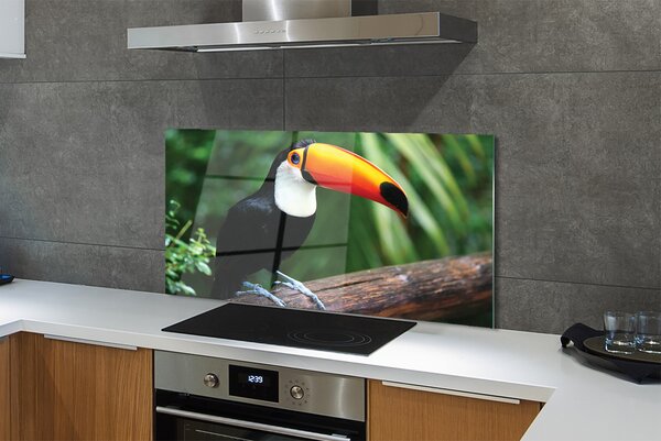 Panouri de sticlă Toucan pe o ramură