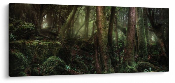 Tablou - Pădurea enigmatică (120x50 cm)