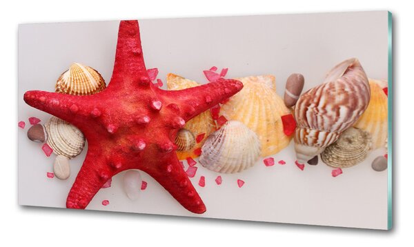 Sticlă pentru bucătărie Starfish și scoici