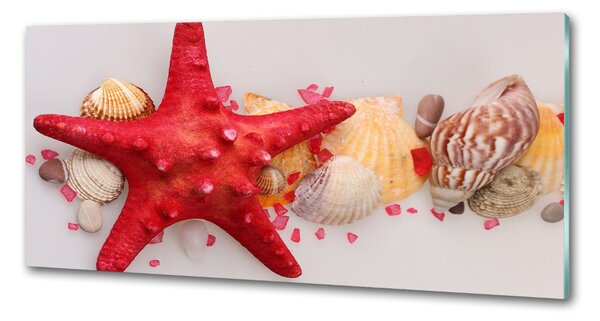 Sticlă pentru bucătărie Starfish și scoici