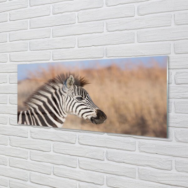 Panouri de sticlă zebră