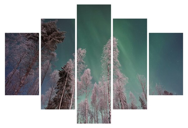 Tablou cu aurora borealis deasupra pomilor înghețați (150x105 cm)