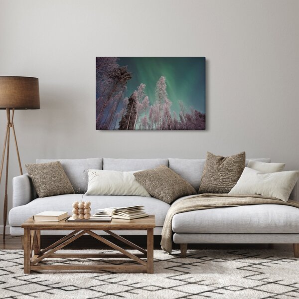 Tablou cu aurora borealis deasupra pomilor înghețați (90x60 cm)