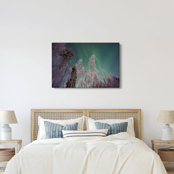 Tablou cu aurora borealis deasupra pomilor înghețați (90x60 cm)