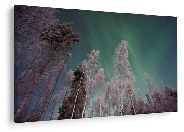 Tablou cu aurora borealis deasupra pomilor înghețați (90x60 cm)
