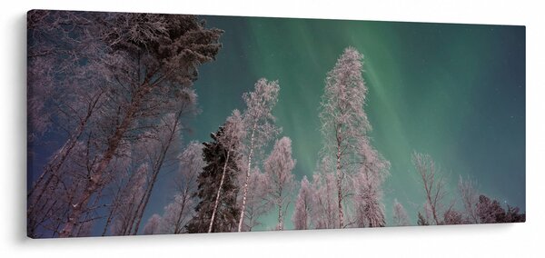 Tablou cu aurora borealis deasupra pomilor înghețați (120x50 cm)